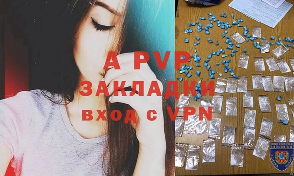 каннабис Новозыбков