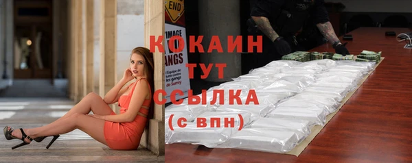 мяу мяу мука Новодвинск
