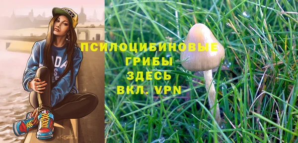 ALPHA-PVP Нязепетровск
