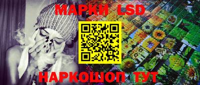 шишки Дубна