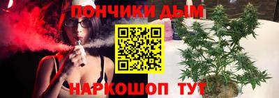 шишки Дубна