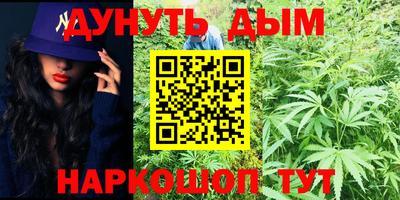 шишки Дубна