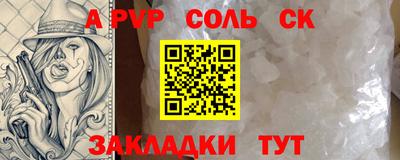 шишки Дубна