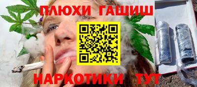шишки Дубна
