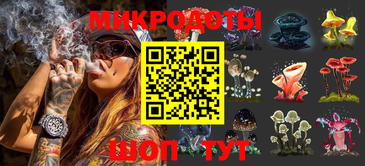 Псилоцибиновые грибы Cubensis Лабытнанги