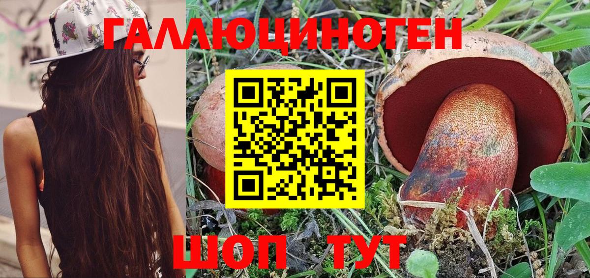 Лабытнанги  Галлюциногенные грибы Psilocybe  Вход с VPN 